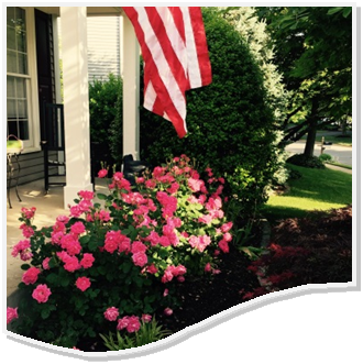 Pink and Red Carpet Roses are the Flowers of Annandale, VA and extensively planted in the residential community and in the commercial district.e, VA and seen planted in the residential community and in the commercial district.